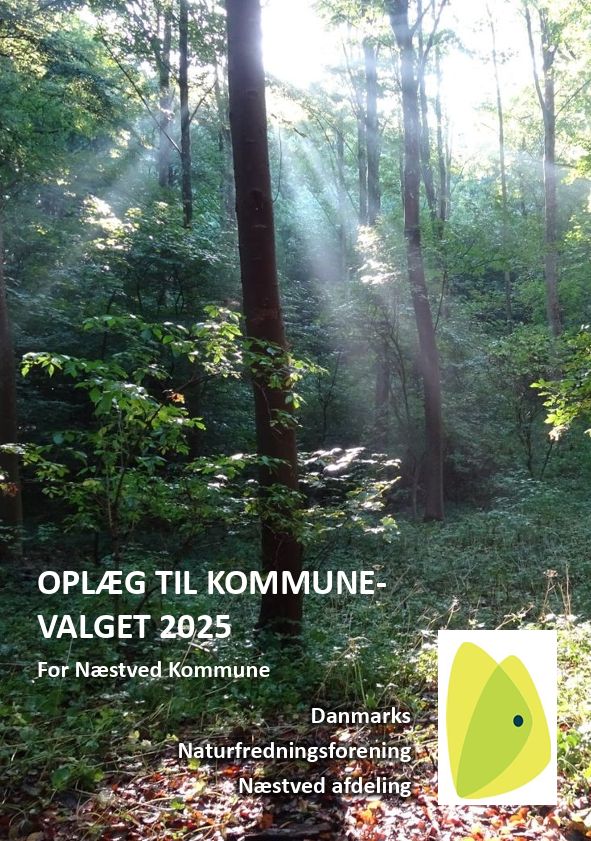 Valgoplæg fra DN Næstved